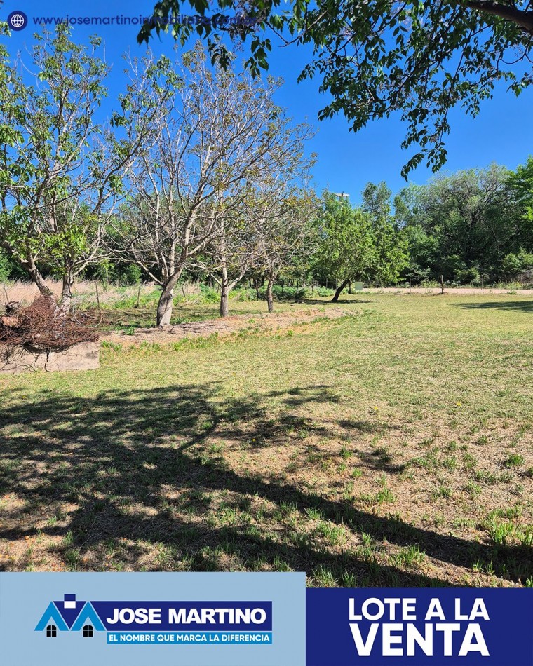 2 LOTES EN VENTAS