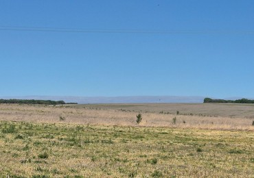 2 LOTES EN VENTAS
